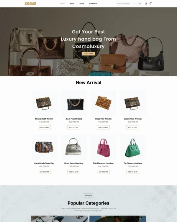 Bag E-Commerce Website
